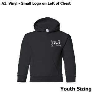 PDA - Gildan Youth Pullover Hoodie [Logo 2]